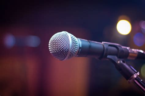 The Microphones .